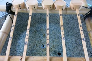 吹石一恵 新たな縁結びスポットに!?点在する「吹石柄杓の謎」