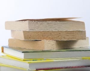 羽田　デビュー作は「過去の受賞作品を呼んで対策を練って…」