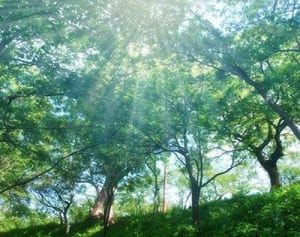 羽田圭介　名作を生んだ“規則正しい生活”「8時に起きて…」