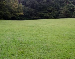 ノーベル賞大村智さん 成功の裏に「常に視線は地面」