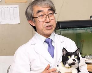 猫の行動から地震を予知 専門家が最新研究を語る