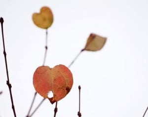 「なんだかなぁ」で愛された阿藤快さん お悔やみの声が続々