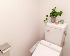 血圧を下げる！トイレでできる“腸活エクササイズ”って？