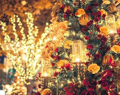【今週の対決】クリスマスイルミネーション 表参道か六本木か