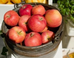 冬太り解消に専門家が勧める最強「脂質制限食」とは