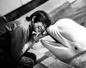 日本初・シャチの繁殖に成功した“海獣医師”の海より深い愛