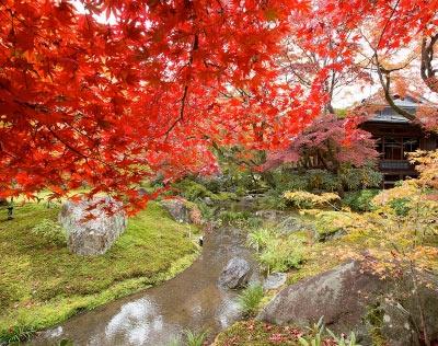 日本人なら必見！”庭オタク”が教える京都｢絶景庭園｣の世界