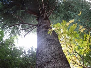 これで自律神経が整った生活に！ストレスを受け流す呼吸法　