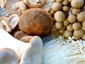 食事改善で再発防止！がんに克つからだを手に入れた患者たち