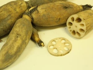 【今週の対決】ニューオープンのアンテナショップ