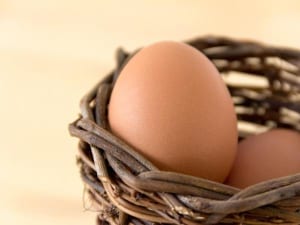 受験を協力にサポートする脳力アップ食材ベスト10