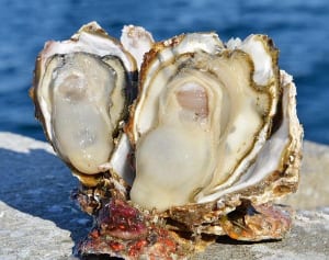 旬だけど心配…牡蠣に“当たる”のはどんなとき？