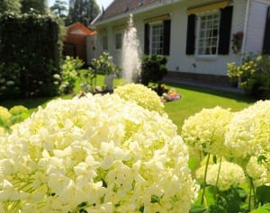 千葉発・日本唯一の「婦人保護長期入所施設」といわれる村の50年