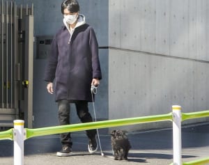 鈴木京香 同棲再開から３カ月、長谷川博己が愛犬の散歩係に