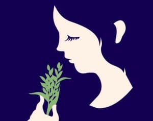 春分の日はエネルギーをデトックスするベストタイミング！７つの方法