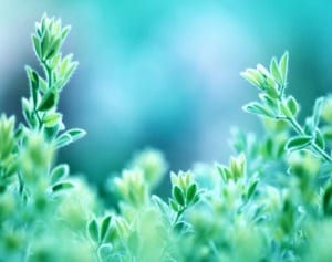 山田涼介が語るHey! Say! JUMPメンバーそれぞれの魅力