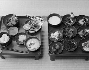 徳川家康 驚きの長寿のカギは「漢方茶」と「だいだい」