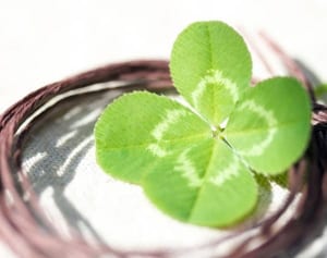 日本人女性がジャマイカで見つけた「何もないという幸せ」