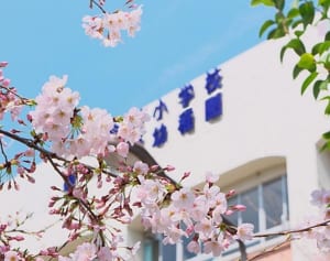 ママたちに聞いた「PTA委員をもめずに回避するワザ４」