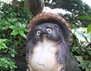 タヌキの置物に鳥の巣　家主、16年ぶり“再会”も