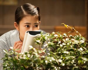 常子、16歳で事業家へ！3分で分かる「とと姉ちゃん」まとめ【第7週】