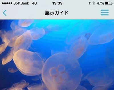 「江ノ水」が公式アプリ　展示やショー解説