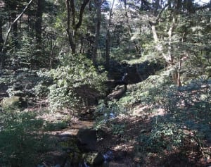 1日5分でストレスが消える“瞑想呼吸法” 専門家が紹介