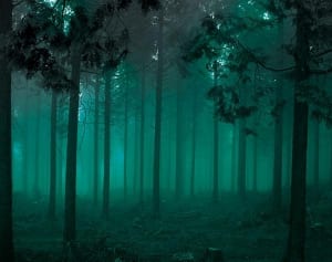 6月6日は恐怖の日！大人もハマる怖い漫画ランキング