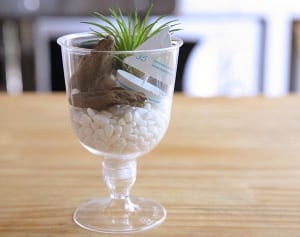 100均DIYで家をカリフォルニア風にする“涼インテリア”３