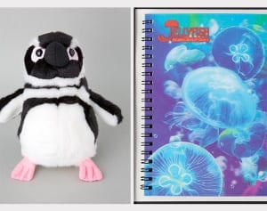 【今週の対決】“水の美”vs“ペンギン軍団”水族館対決！