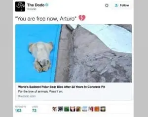 世界一かわいそうなホッキョクグマが死亡