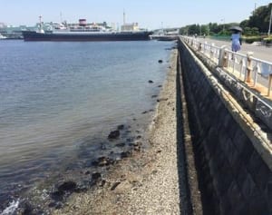 山下公園に“幻のビーチ”　大潮前後の干潮時に出現