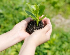 倉木麻衣　熊本では焼きそば作りも…「ボランティア活動」初告白