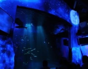 「月」をテーマに　あすから新江ノ水