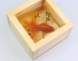 「キンギョ イン ザ スカイ」　横浜で金魚絵師・深堀さん作品展