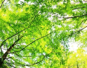 千葉大生誘拐事件「新しい夢に…」少女が歩む社会復帰への道