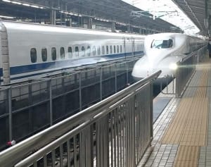 コスパと話題性抜群！帰省のおみやげは“ゆるパイ”でOK