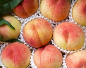 ジューシーさケタ違い…最高級ブランド桃は5キロで○万円！