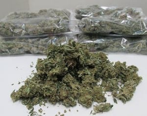 大麻摘発急増58人　7月で最多昨年超え　沖縄県警まとめ