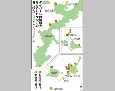 サンゴ白化、沖縄県内全域に　WWFサイトのダイバー目撃情報