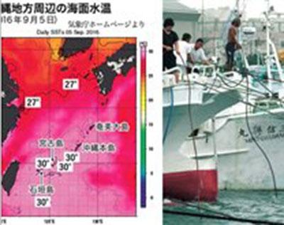 台風13号　沖縄周辺でなぜ発生？　条件そろう、今後も警戒
