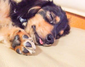 猛暑過ぎても倦怠感、食欲不振が…「秋バテ」チェックリスト9