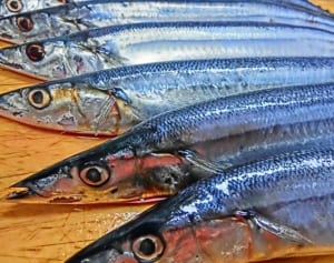 サンマは例年の4倍！台風被害で高騰する「秋の味覚」リスト
