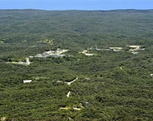 世界遺産登録できるの? 豊かな森で軍事演習 やんばる国立公園