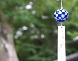 『プレバト!!』夏井いつき先生 不登校生を自宅で熱血指導していた