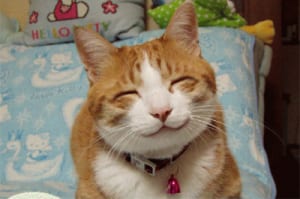 三田寛子　夫・橋之助との離婚を否定「雨降って地固まる」