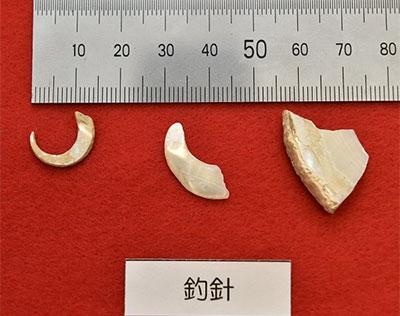 世界最古釣り針を発見　沖縄・南城のサキタリ洞　2万3000年前、貝製