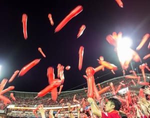 カープVで驚異の0.025％利回り実現…神ってる「応援定期預金」