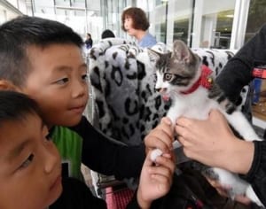 こんにちは、新しい家族　犬、猫の「譲渡会」