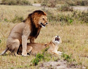 日本では半分が“レス状態”！ セックスレスになる男の特徴10